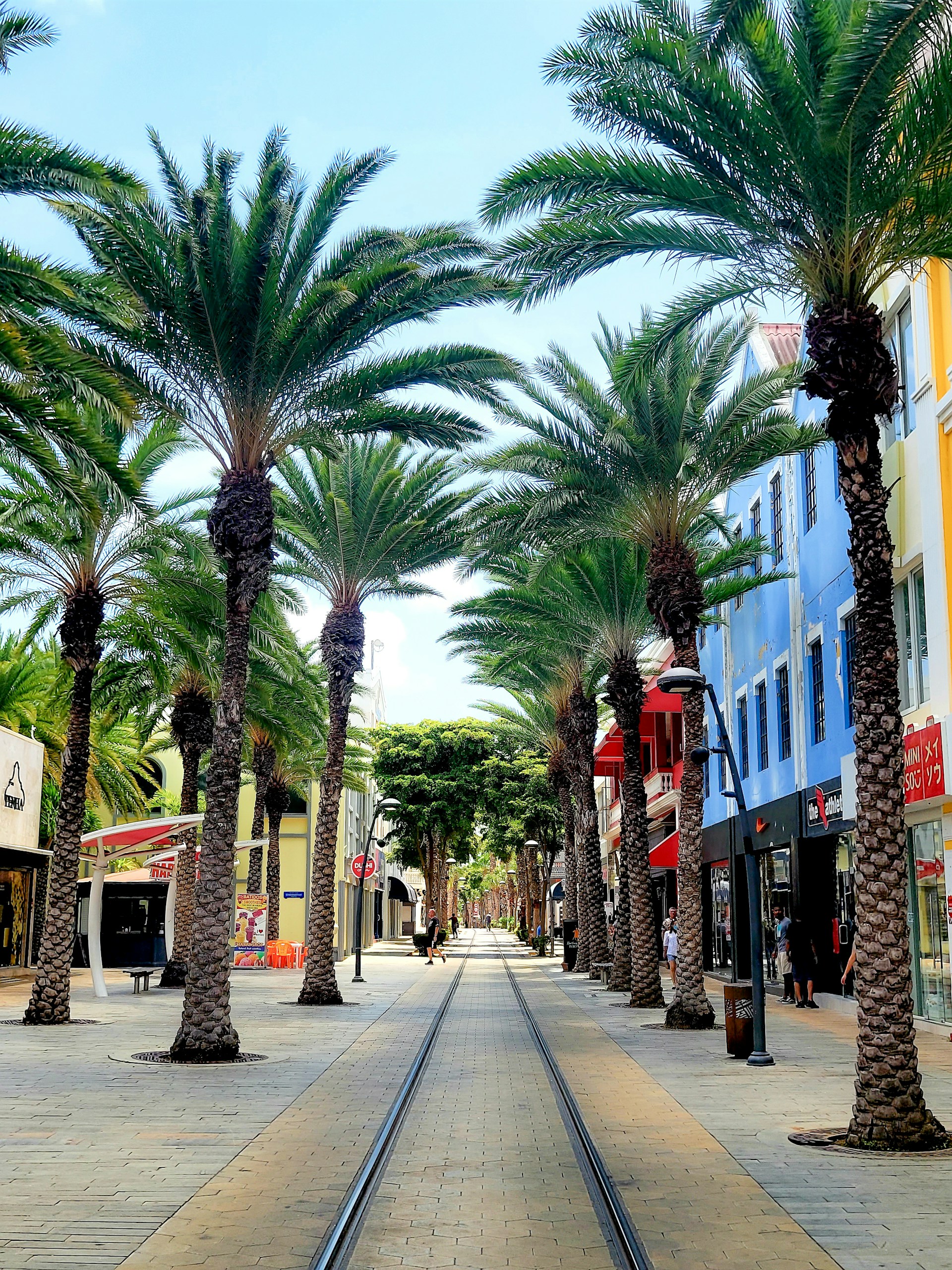 Oranjestad palm-lined street for cruise passengers spending one day in Aruba